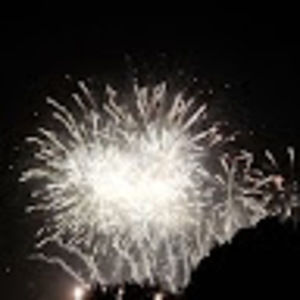 Meet your Posher, Dalia